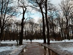 -滴血救世主教堂