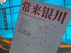 -银川河东国际机场