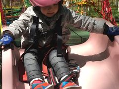 树袋熊乐园-合肥滨湖国家森林公园