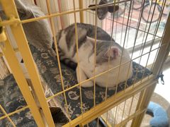 -青春加萌照相馆