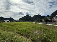 -靖西鹅泉风景区