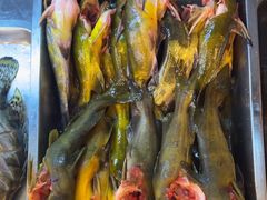 -老味道1992(武当山店)