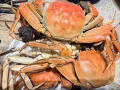 大闸蟹-初色海鲜自助(万丰路店)