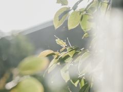 -默迹咖啡馆