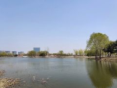 -大兴滨河森林公园