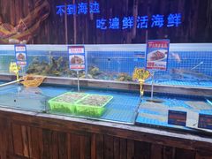 水产区-锦绣金山人家(友谊店)