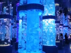 -石林冰雪海洋世界