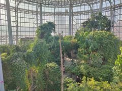 -郑州植物园
