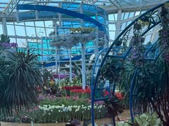 -石家庄市植物园