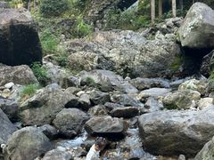 -泽雅七瀑涧景区