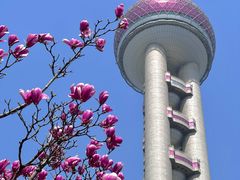 -东方明珠广播电视塔