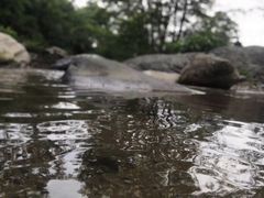 -芦沟竹海