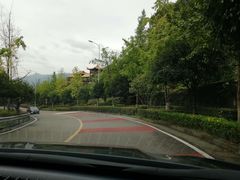 -铁山坪森林公园