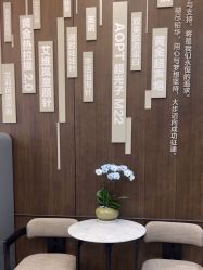 -加减美医美连锁品牌