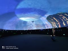 -花之城