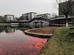 -西海子公园