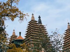 -北京石刻艺术博物馆(五塔寺)