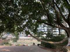 -成都市活水公园