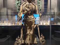 -四川大学博物馆