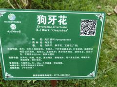 -广西壮族自治区药用植物园