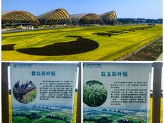 -中国天府农业博览园