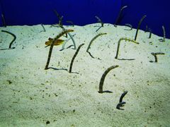 -上海海洋水族馆