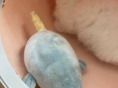 -御宝贝·A梦猫科宠物医院(国际猫友好医院)