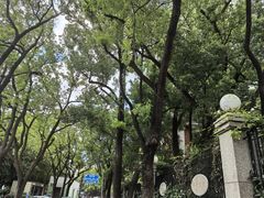 -上海瑞金洲际酒店