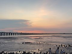 -宝安西湾红树林湿地公园