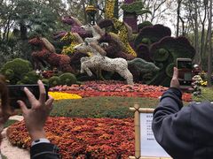 -共青国家森林公园-售票处