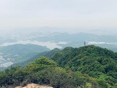 -梧桐山风景名胜区