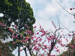 -乌山风景区