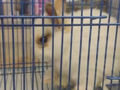 -鹏欣水游城