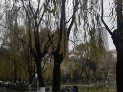 -西安市长乐公园