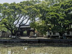 -江心屿景区