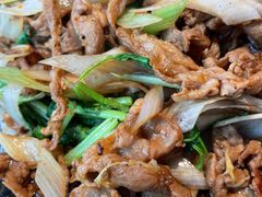 -喜悦烤鸭·新京菜(王府井店)