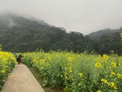 -广州市石门国家森林公园