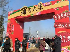 -蒲河大集