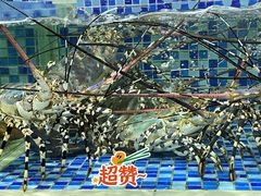 -欧记·龙城港(欣都店)