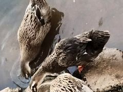 -美丽南方·老木棉匠园·团建烧烤·烤全羊