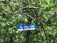 -紫金山天文台