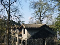 -大金鹰园
