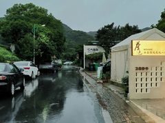 -龙坞茶村