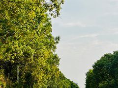 -艾溪湖湿地公园
