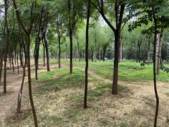 -秀水公园