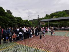 -九龙江国家森林公园