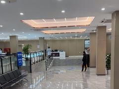 -上海大学附属上海和平眼科医院