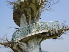-芒洲湿地公园