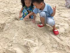 -珊瑚岛