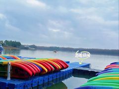 -上海海湾国家森林公园